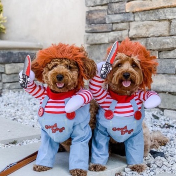 Chuck Halloween Costume for Dogs Size M - Picture 6 of 8